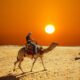 desert safari dubai deals