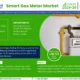 Global Smart Gas Meter Market